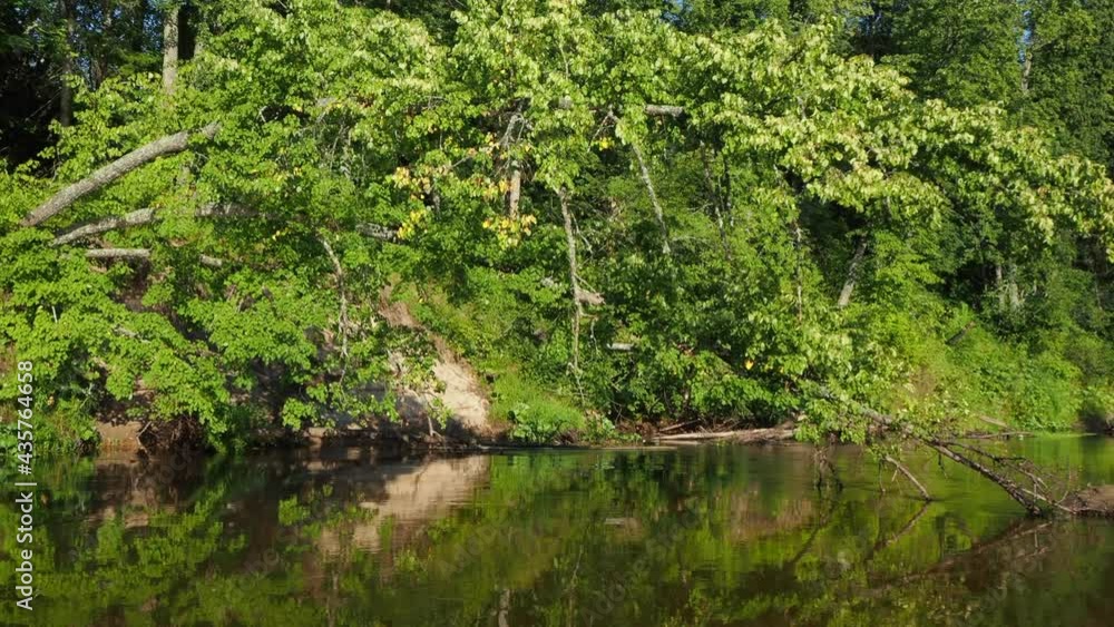 Mirror surface of the river water surface in the middle of the forest. Silence in unique natural locations far from civilisation.