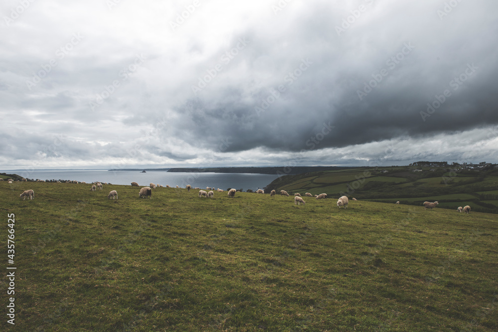 Hemmick Beach View, Cornwall, UK