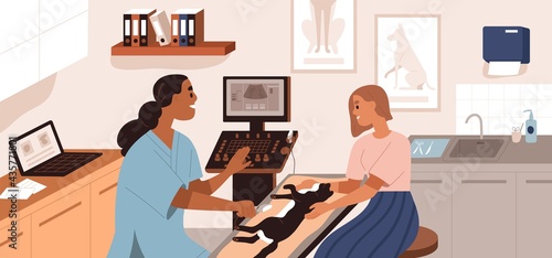 Ultrasound diagnostics in vet clinic. Pet owner holding cat while veterinarian examining patient in modern veterinary office with USI device. Colored flat vector illustration of animal health checkup