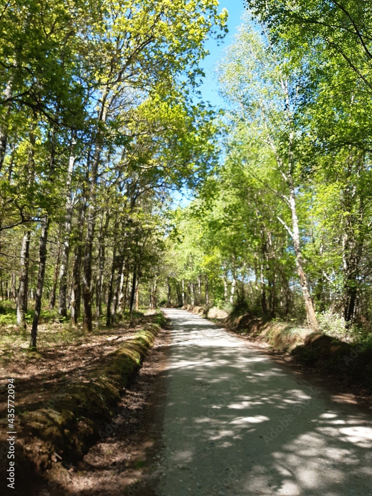 Paraje gallego en plena primavera Paraje gallego en plena primavera