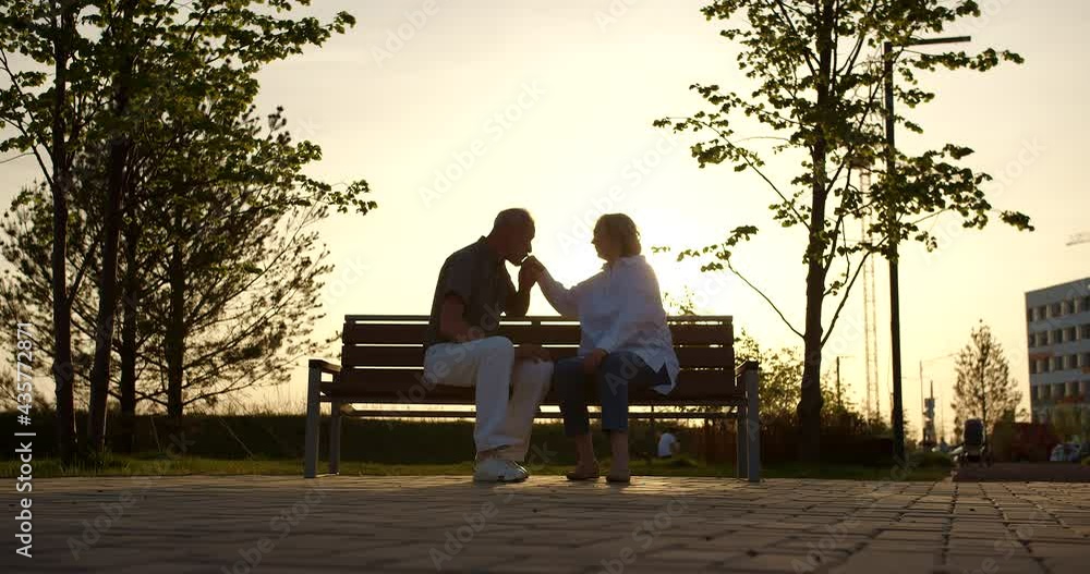 A married couple of elderly people are sitting on a bench in the park and chatting. There is a sunset in the sky, so only their silhouettes are visible. The man kisses his wife on the hand A married couple of elderly people are sitting on a bench in the park and chatting. There is a sunset in the sky, so only their silhouettes are visible. The man kisses his wife on the hand