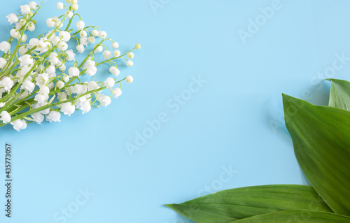 Fototapeta Naklejka Na Ścianę i Meble -  Blossoming lily of the valley on blue background. copy space. postcard