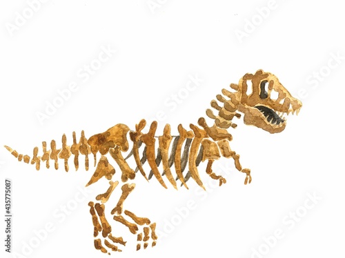 watercolor illustration of a Tyrannosaurus rex skeleton isolated on a white background