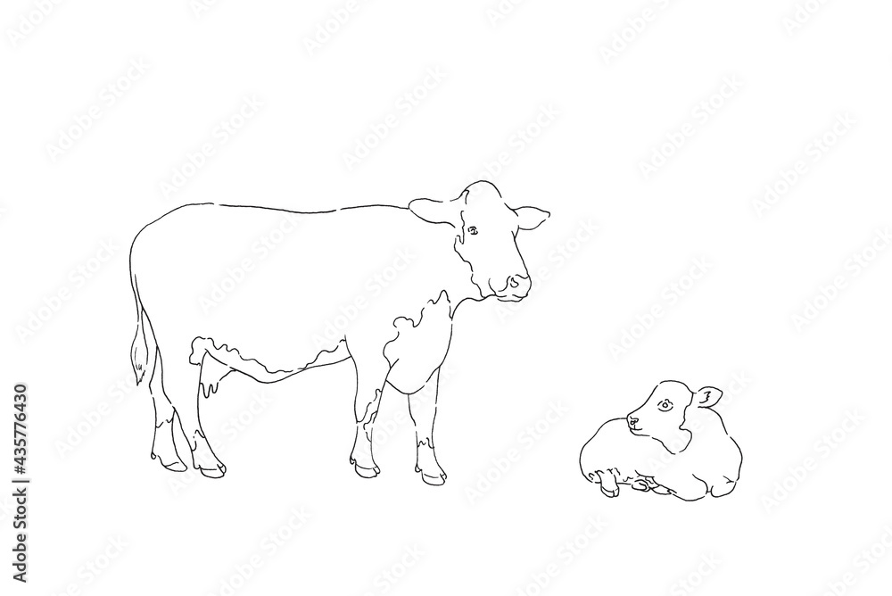 牛のイラスト-手描きの線画 牛のイラスト-手描きの線画