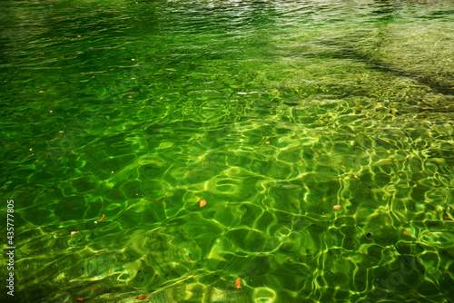 渓谷の川の縁の水がエメラルドグリーン色で美しい