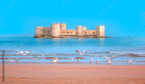 Fototapeta Naklejka Na Ścianę i Meble -  The maiden's castle (Kiz Kalesi) with bright blue sky, Seagull flying on the beach in the foreground - Mersin, Turkey