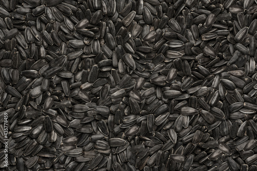 sunflower seeds  food background  texture