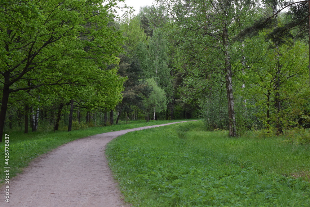 Obraz premium path in the park