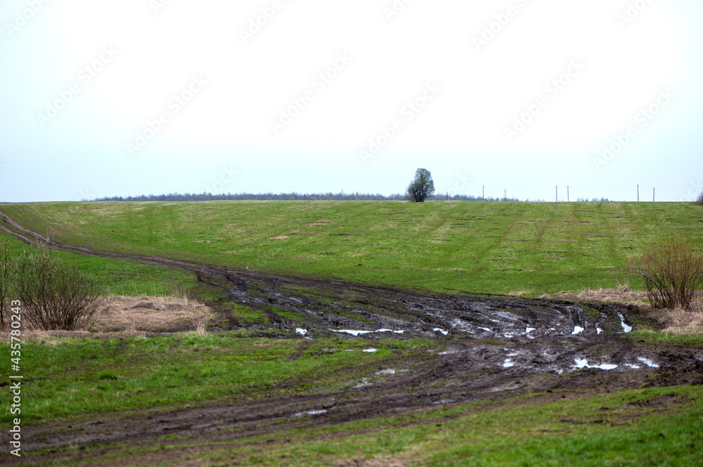 Fototapeta premium countryside landscape with a muddy road. Off road trips