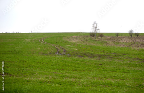 Wallpaper Mural countryside landscape with a muddy road. Off road trips Torontodigital.ca