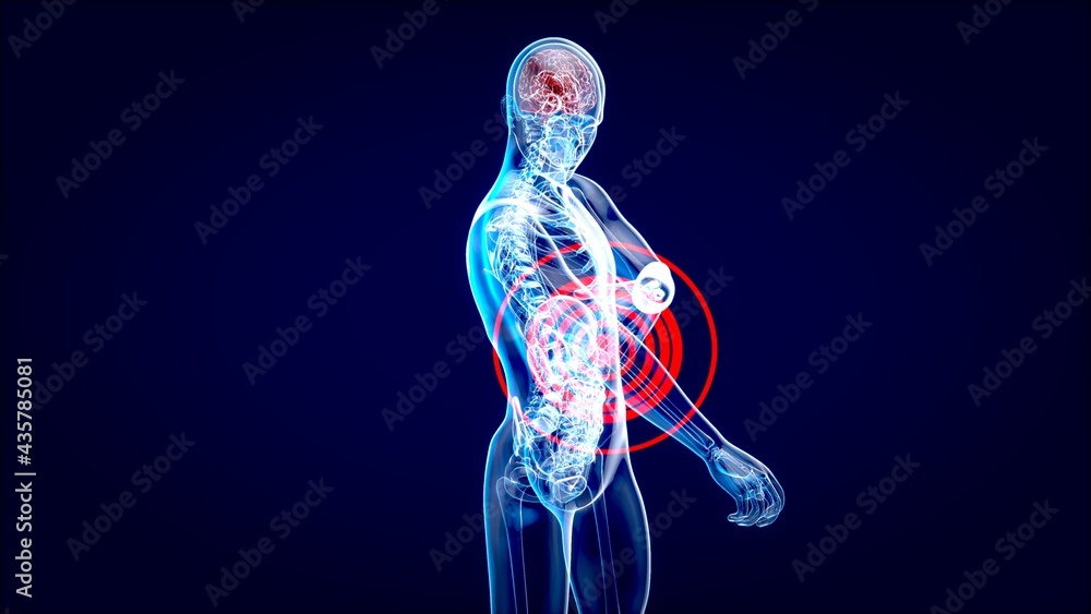 4K anatomy concept of an elbow pain 4K anatomy concept of an elbow pain