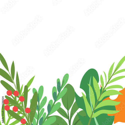 Background with plants and leaves with copy space, isolated on white color background , Vector Illustration EPS 10