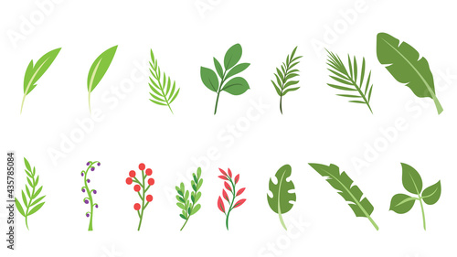 Green various shapes of leaves , isolated on white background , Vector Illustration EPS 10