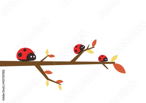 Ladybug vector. ladybug on white background. wallpaper. tree stick vector. Ladybug insects on the branches. 