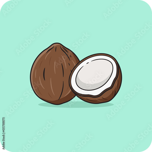 Coconut and half coconut Brown hard shelled, vector design and isolated background.