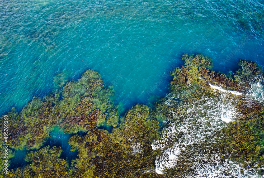 Fototapeta premium Vertical view coral reef and tropical sea
