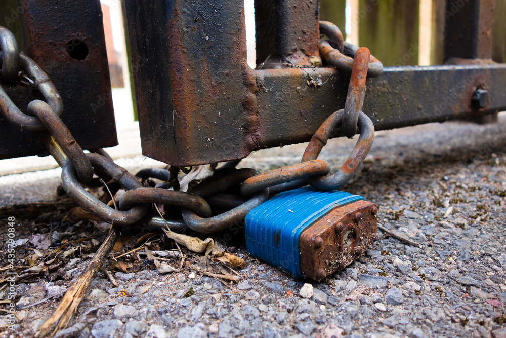 rusty blue padlock and chain on a rusty gate