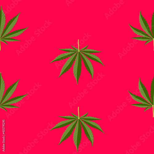 Seamless Pattern Medicinal cannabis. Medical marijuana, cannabinoids and health. Red background. Vector