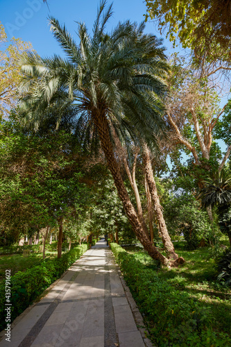 variety of plants from the Botanical Garden of Aswan Egypt