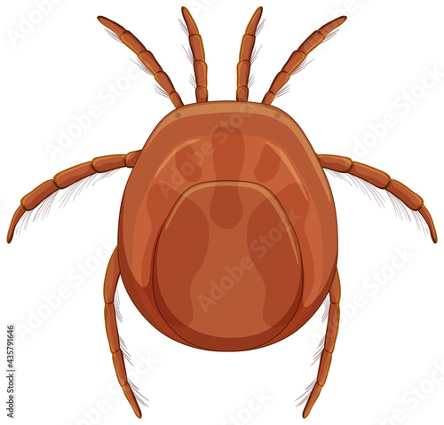 Tick blood parasite in cartoon style isolated on white background