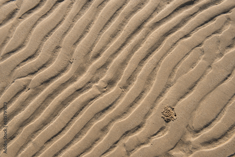 A crab's hole on sand background A crab's hole on sand background