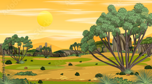 African Savanna forest landscape scene at sunset