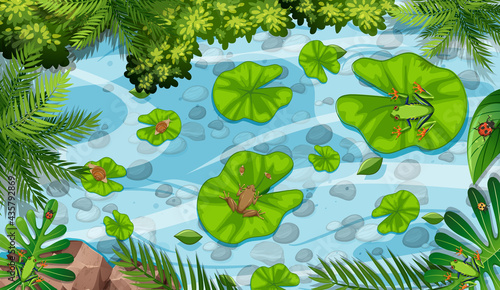 Aerial scene with frogs and lotus leaves in the pond