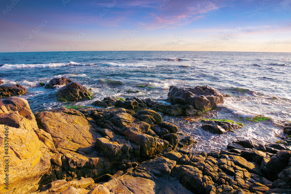 stones on the sea shore in the morning. beautiful summer seascape in purple light. few clouds on the bright blue sky