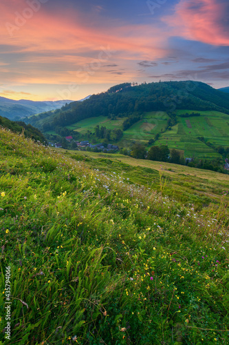 countryside valley scenery at sunrise. beautiful carpathian nature landscape with grassy hills, fields and meadows between forested hills in morning light. small village in the distance