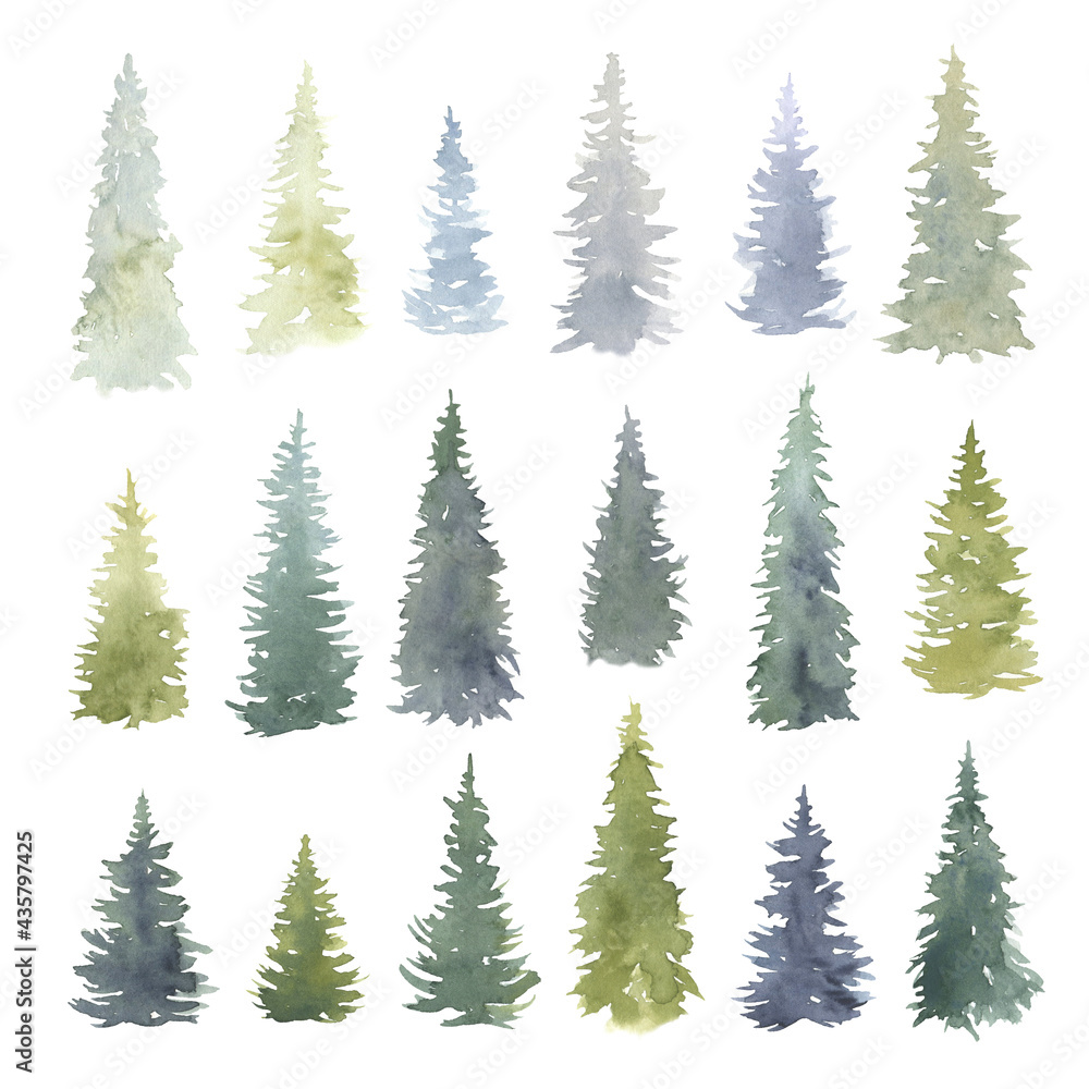 Watercolor Fir Trees Set Watercolor Fir Trees Set