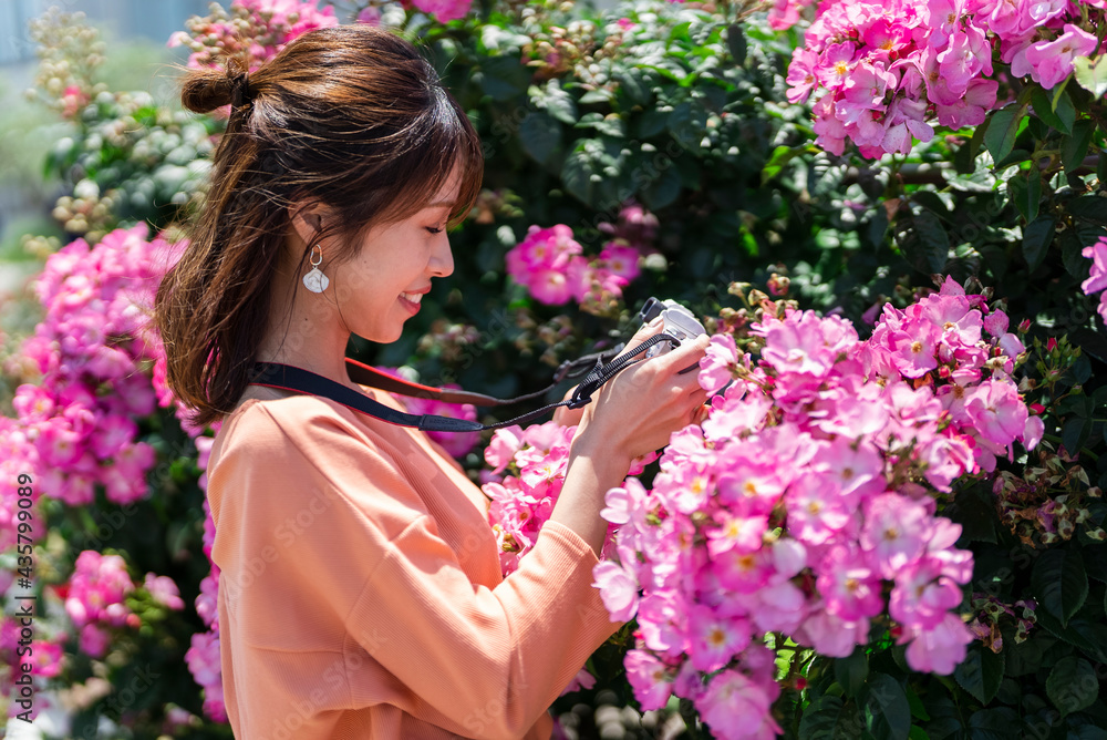 バラ園で写真を撮る女性 バラ園で写真を撮る女性