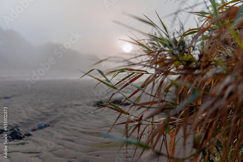 Sonnenaufgang am Wedeler Elbstrand (bei Hamburg)