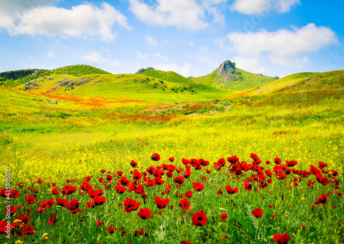 Spring green nature meadow field with hilly background and poppy flowers foreground. Copy paste sunny springtime banner space.
