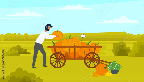 Farmer male character puts large pumpkin in cart, wheelbarrow full of vegetables. Agricultural farm worker, autumn harvest. Man going with vegetables in cart, harvesting pumpkin, preparing for fair
