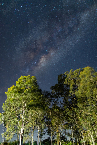 Rising milky way galaxy over tree.