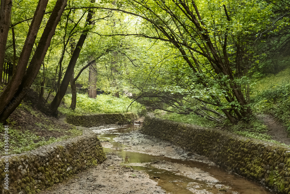 Obraz premium Dry stream with stone-lined banks in summer park among the trees
