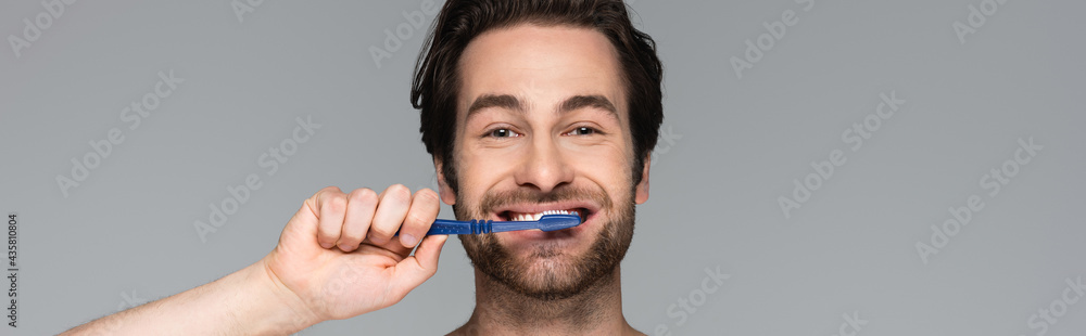happy and bearded man brushing teeth isolated on grey, banner. happy and bearded man brushing teeth isolated on grey, banner.