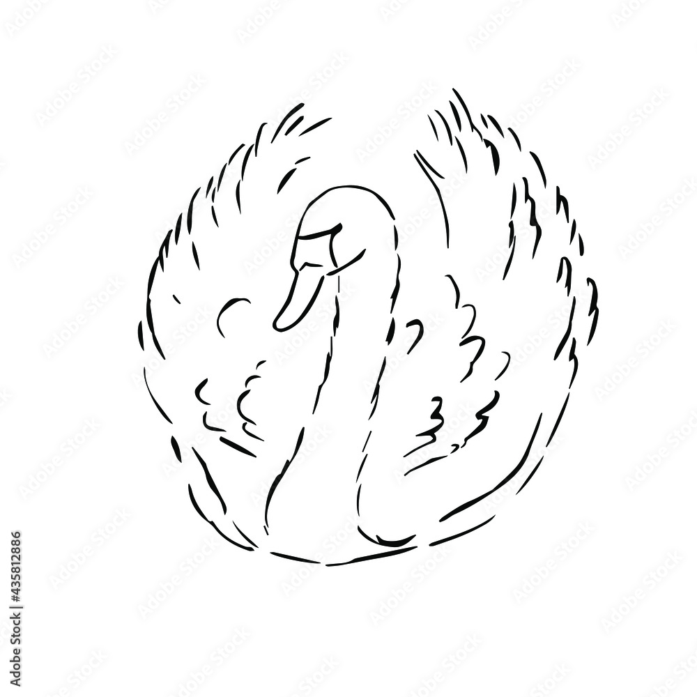 swan, bird. Template for the design of labels, banners, postcards or logos. vector illustration.