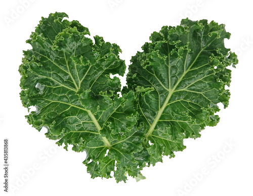 organic green kale leaf vegetable closeup on white background