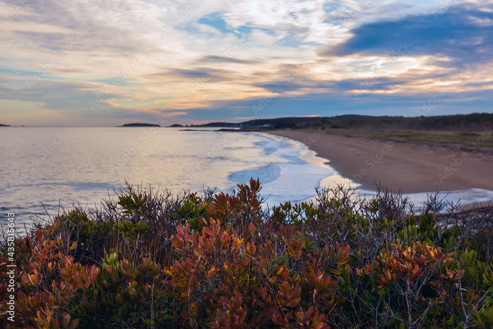 Atlantic coastline at sunset. Deserted rocky coast. USA. Maine