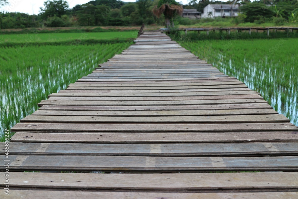 Naklejka premium wooden bridge in the park