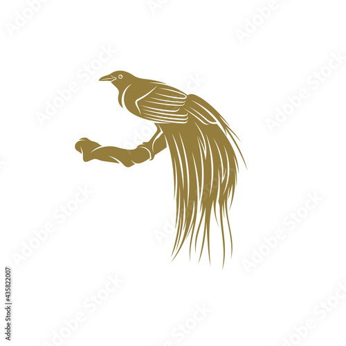 Birds of Paradise design vector illustration, Creative Birds of Paradise logo design concept template, symbols icons