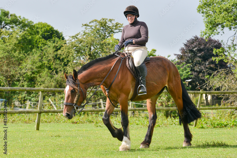 Horse relaxing on a long rein with smiling rider. Horse relaxing on a long rein with smiling rider.