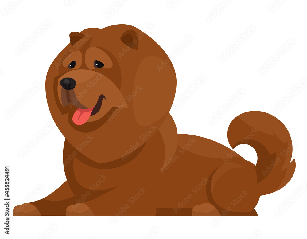 Fototapeta premium Lying Chow Chow. Beautiful dog in cartoon style.