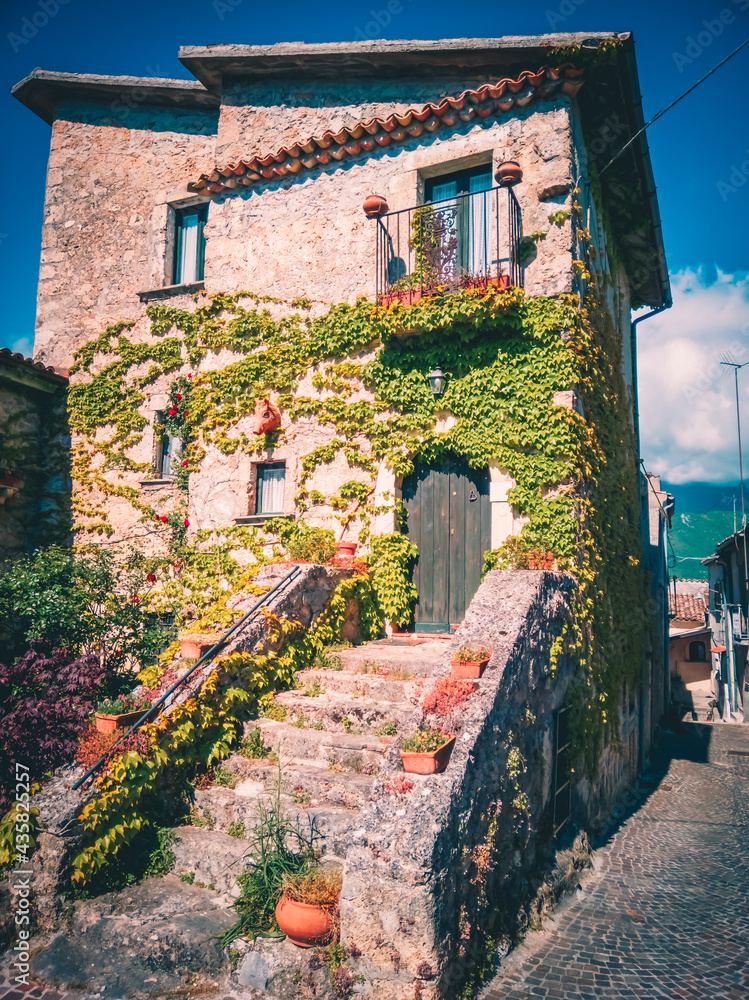Ancient stone house decorated with ivy, historic center of the town of Castel San Vincenzo, Molise Italy