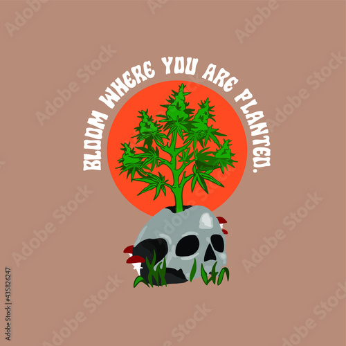illustration of a skull with cannabis and mushrooms