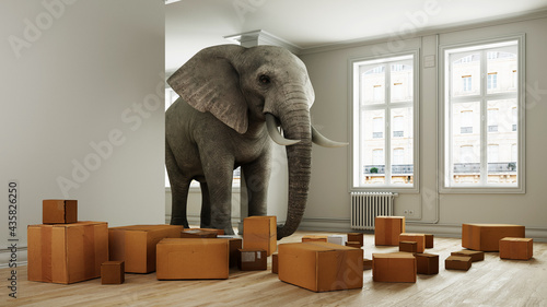Starker Elefant mit Umzugskartons beim Umzug im Raum photo