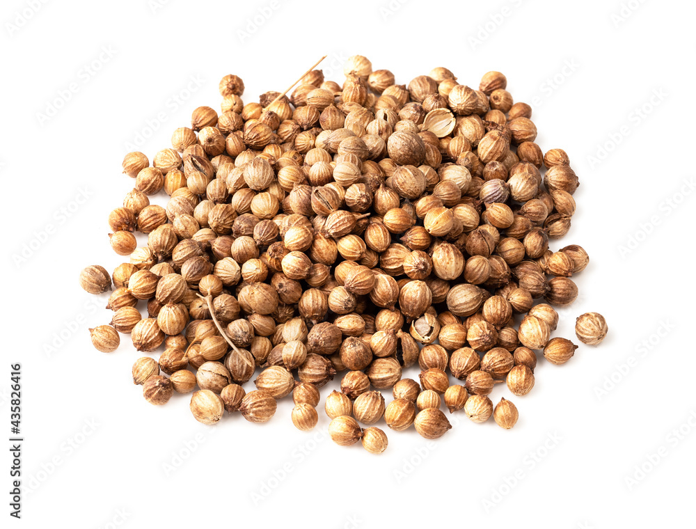 handful of dried coriander seeds closeup on white handful of dried coriander seeds closeup on white