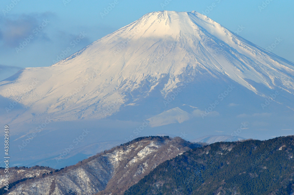 丹沢の烏尾山より望む冬の富士山
