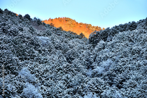 冬の丹沢山地 朝焼けの檜岳山稜 